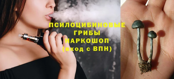 спайс Арсеньев