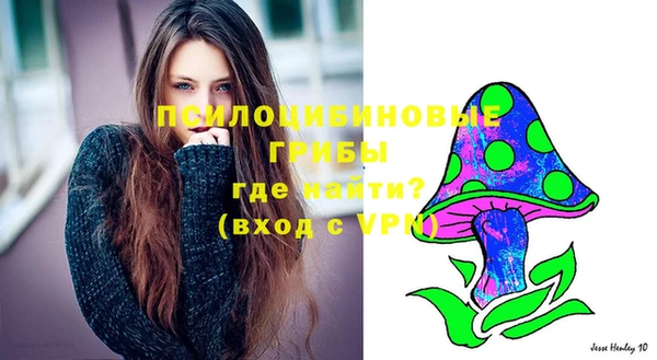 спайс Арсеньев