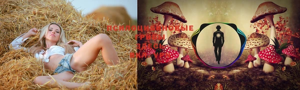 спиды Армянск