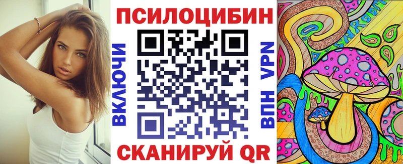 магазин продажи   Суворов  Псилоцибиновые грибы Psilocybine cubensis 
